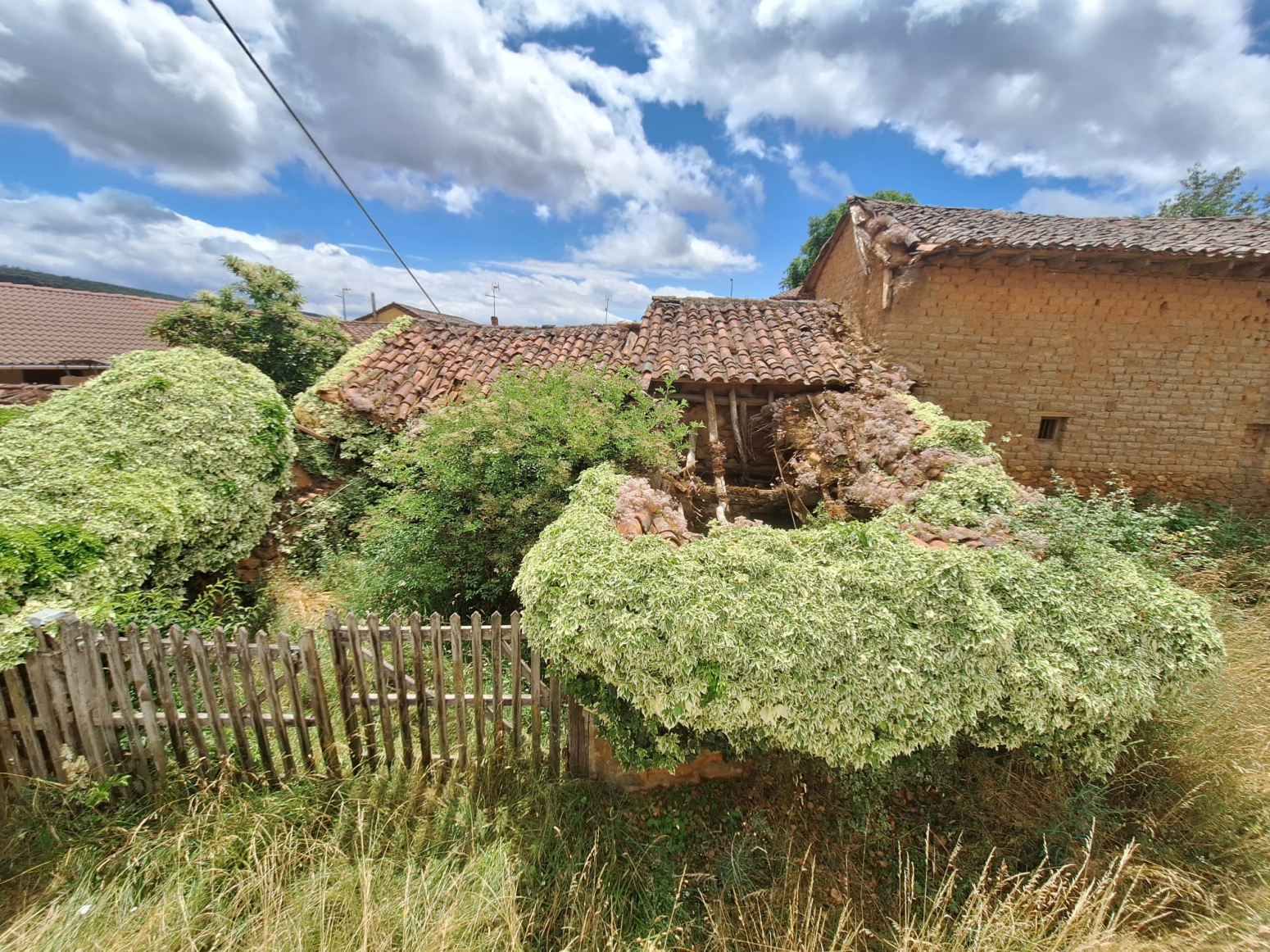 Casas o chalets-Venta-Santa Colomba de CurueÃ±o-1396045-Foto-13