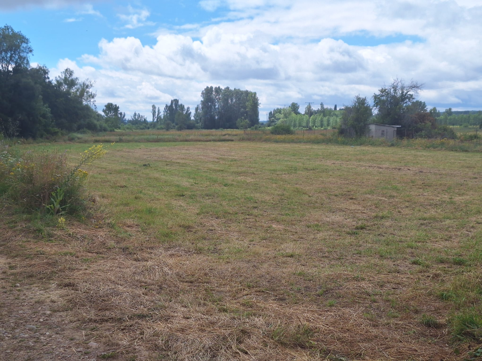 Fincas y solares-Venta-Santa Colomba de CurueÃ±o-1396051-Foto-6