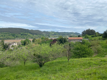 Fincas y solares-Venta-Villaviciosa-1411288-Foto-6-Carrousel