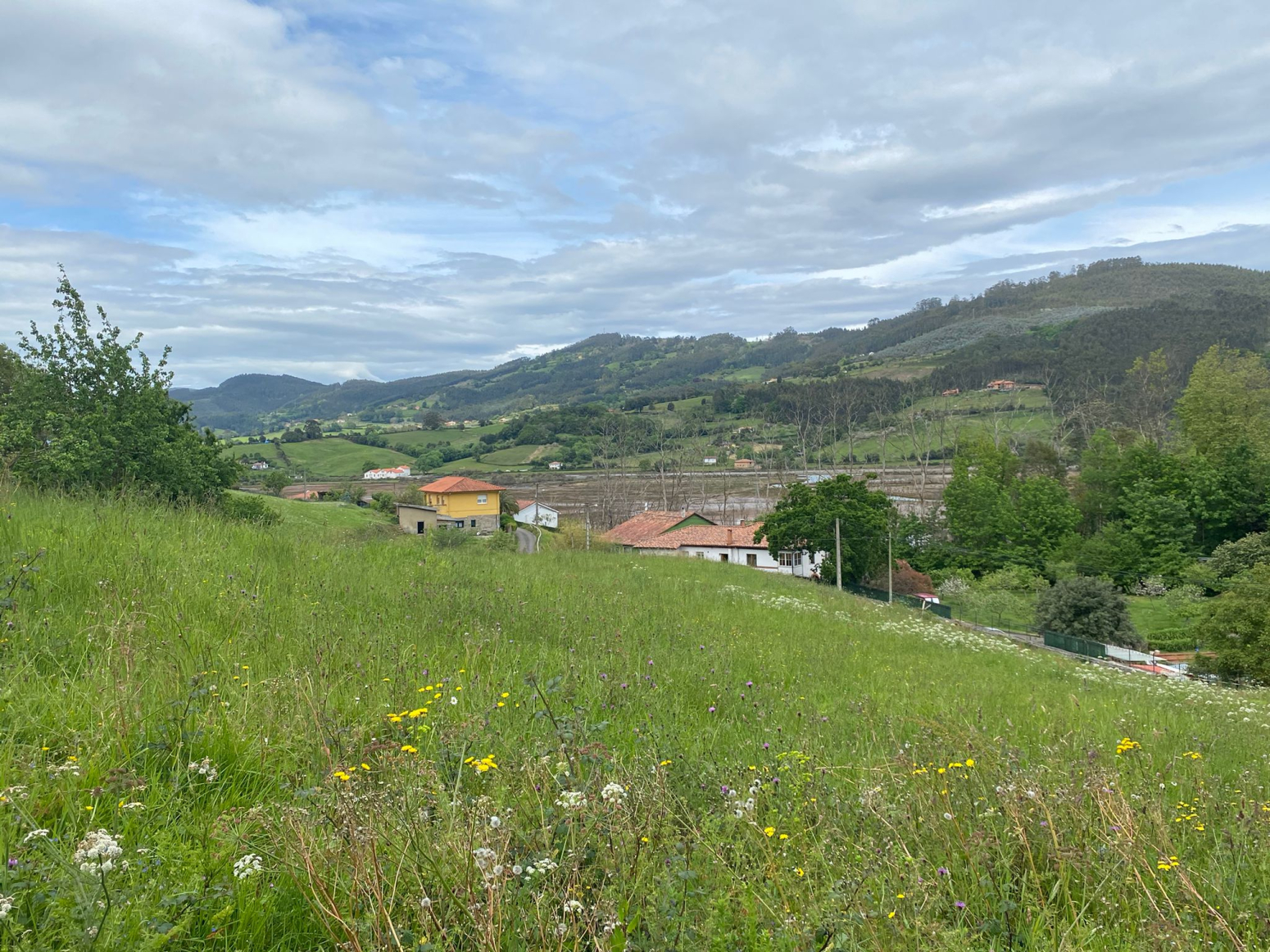 Fincas y solares-Venta-Villaviciosa-1411288-Foto-6