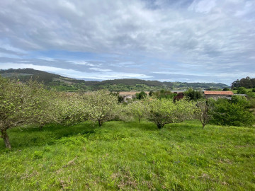 Fincas y solares-Venta-Villaviciosa-1411288-Foto-7-Carrousel