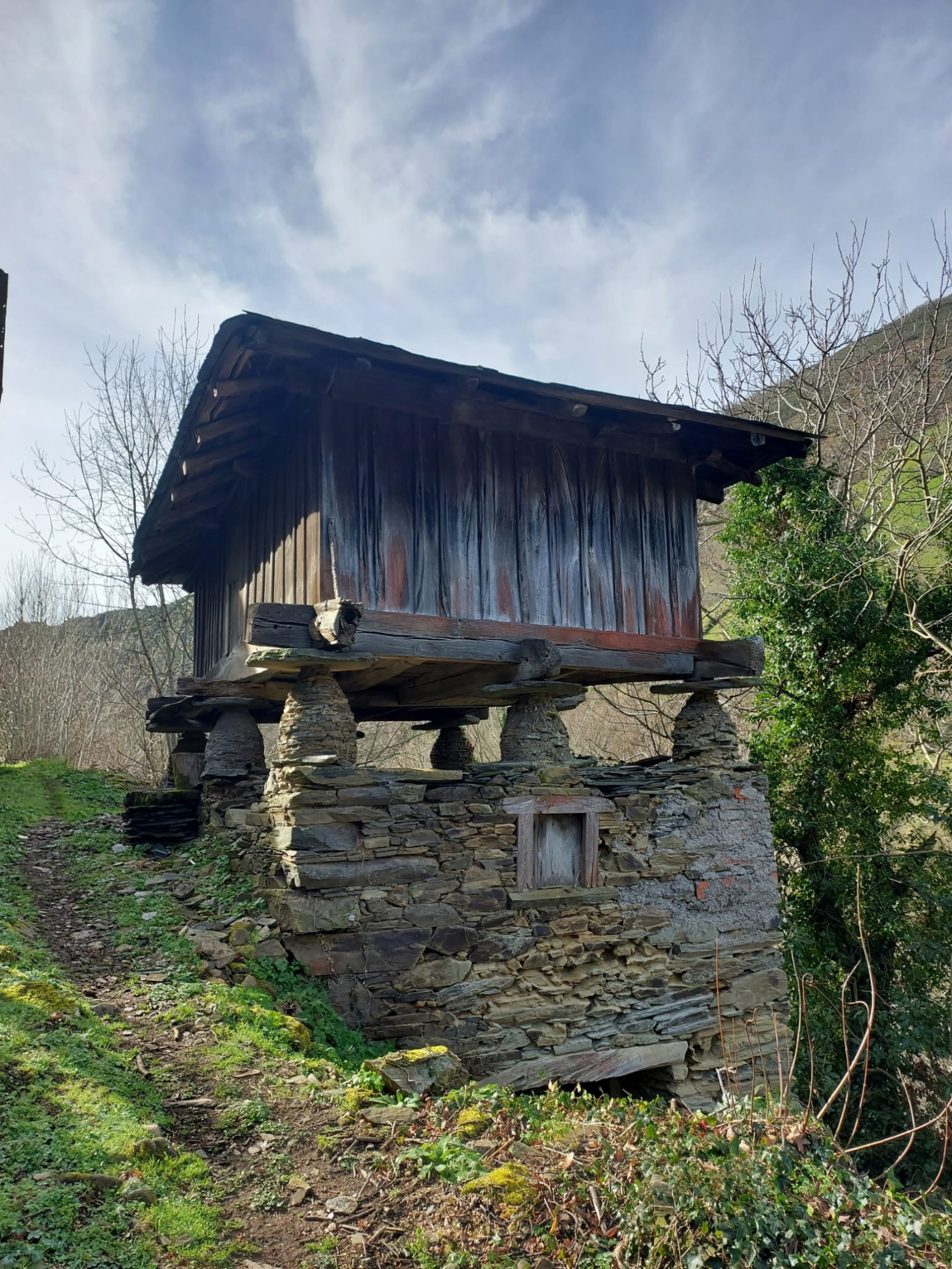 Casas o chalets-Venta-Cangas del Narcea-1642673-Foto-23