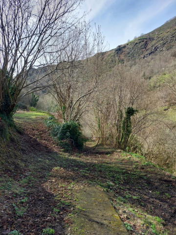 Vistas a la montaña