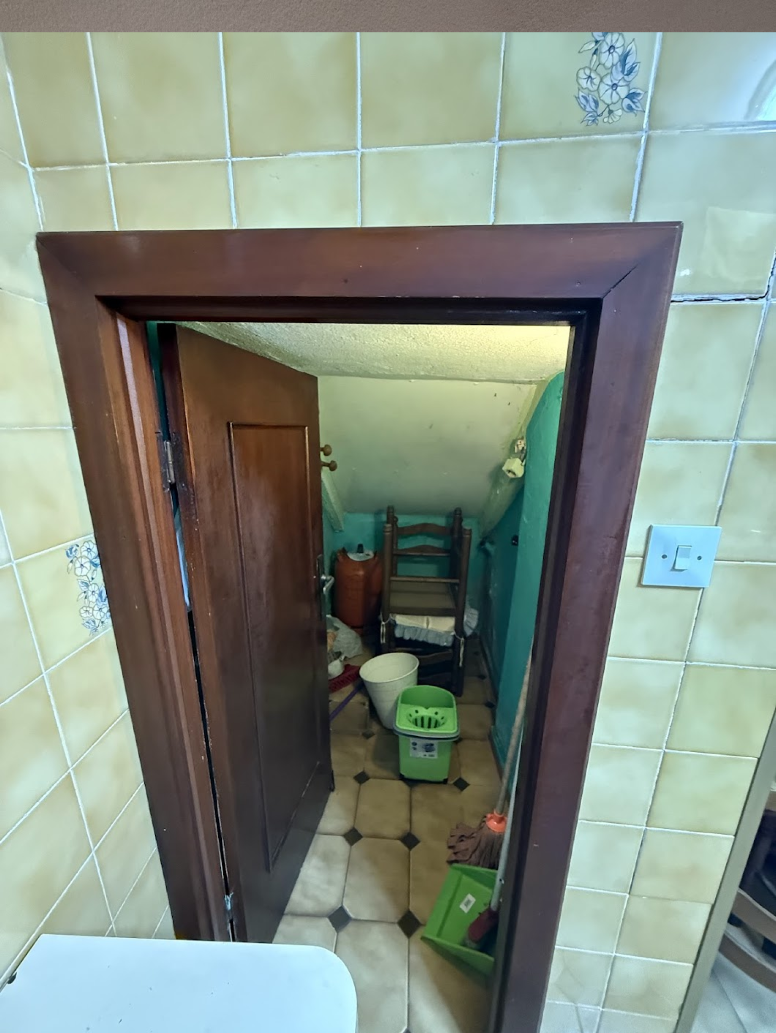 Pisos-Venta-Mieres-1727990-Foto-8