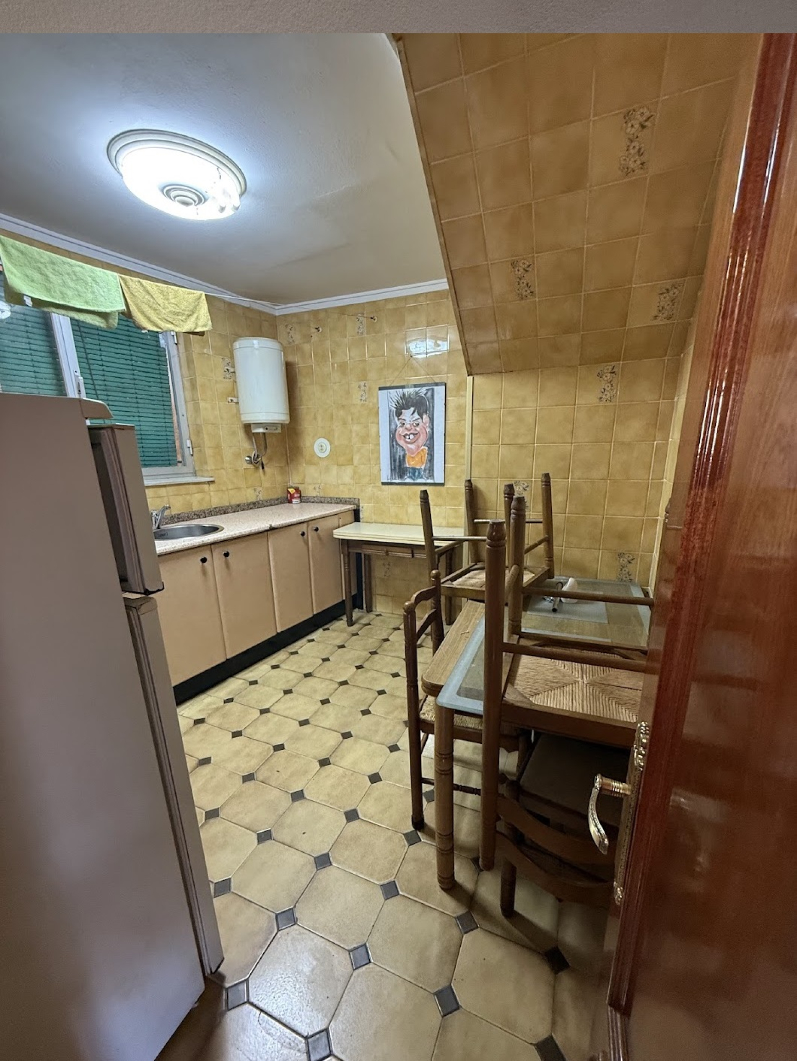 Pisos-Venta-Mieres-1727990-Foto-6