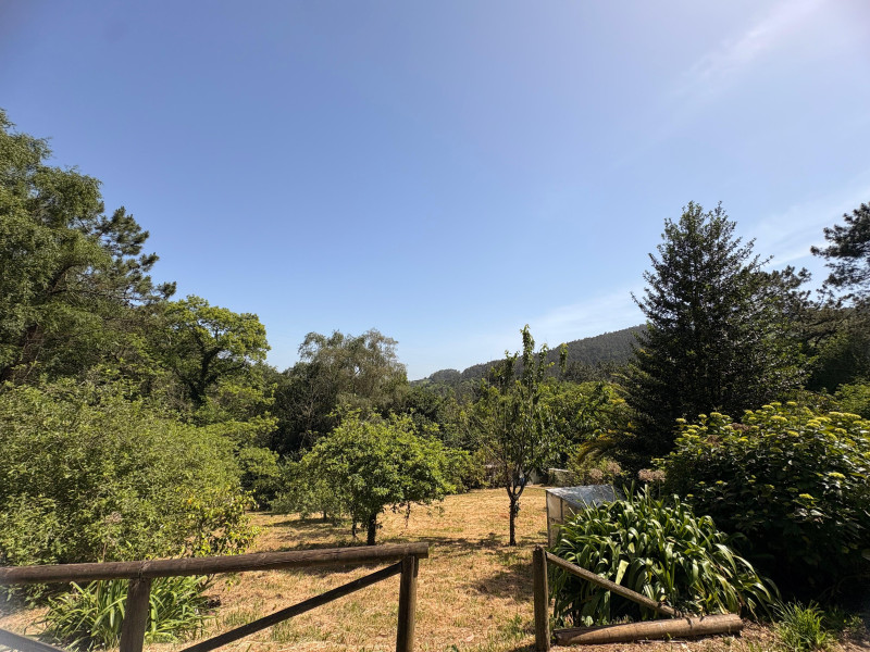 Casas o chalets-Venta-GijÃ³n-2289991-Foto-21