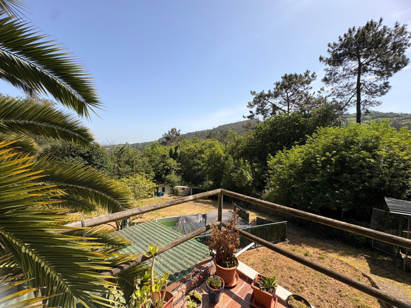 Casas o chalets-Venta-GijÃ³n-2289991-Foto-18