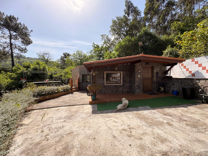 Casas o chalets-Venta-GijÃ³n-2289991-Foto-3
