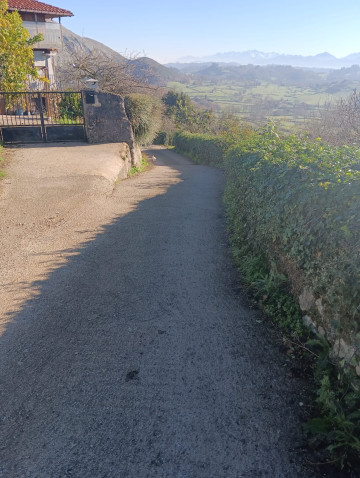 Fincas y solares-Venta-Siero-2331425-Foto-6-Carrousel