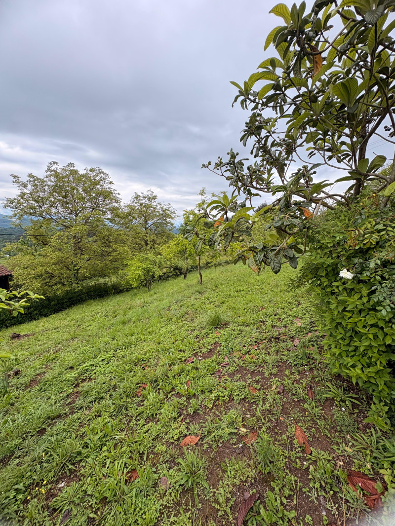 Fincas y solares-Venta-Siero-2331425-Foto-18