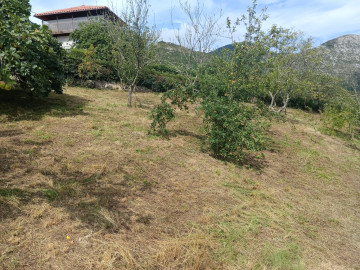 Fincas y solares-Venta-Siero-2331425-Foto-10-Carrousel