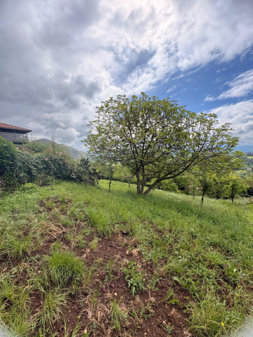 Fincas y solares-Venta-Siero-2331425-Foto-14-Carrousel