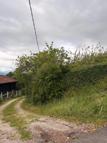 Fincas y solares-Venta-Siero-2331425-Foto-2-Carrousel