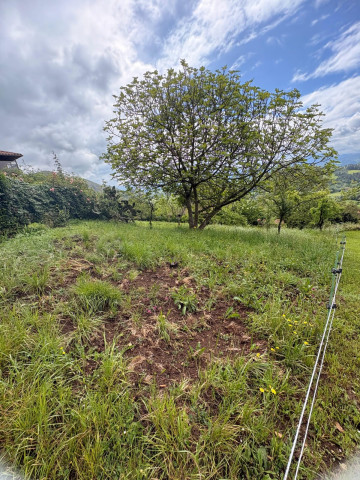 Fincas y solares-Venta-Siero-2331425