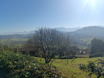 Fincas y solares-Venta-Siero-2331425-Foto-8-Carrousel