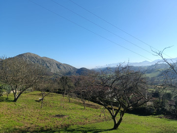 Fincas y solares-Venta-Siero-2331425-Foto-7-Carrousel