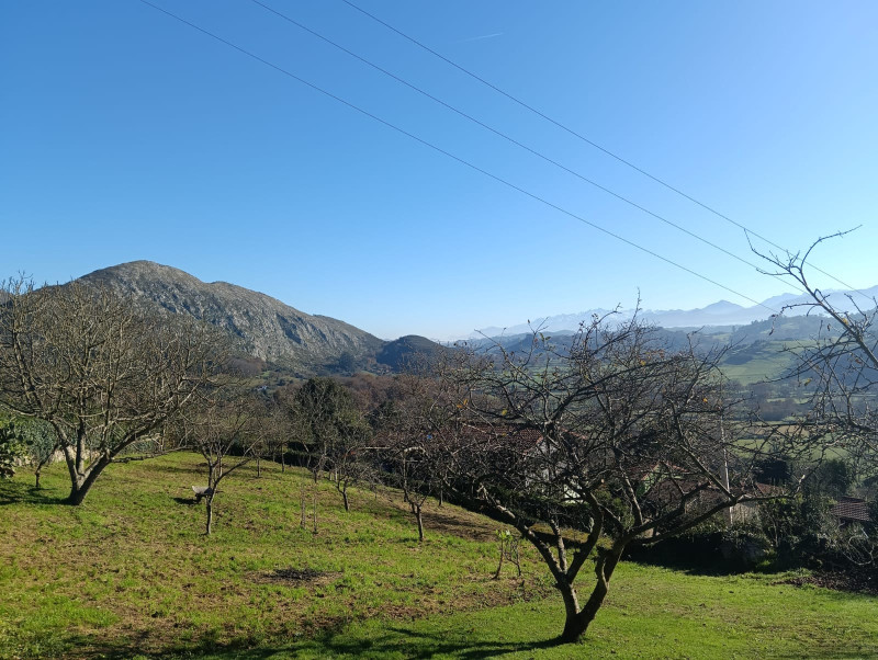 Fincas y solares-Venta-Siero-2331425-Foto-8