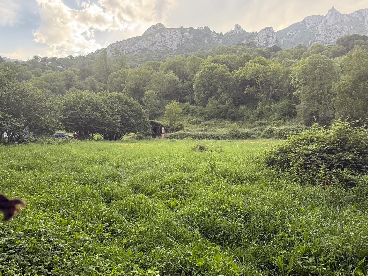 Finca rustica no edificable en Quiros
