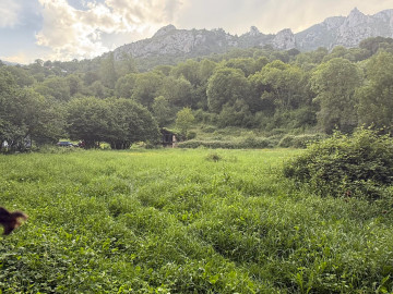 Fincas y solares-Venta-Quirós-2331933