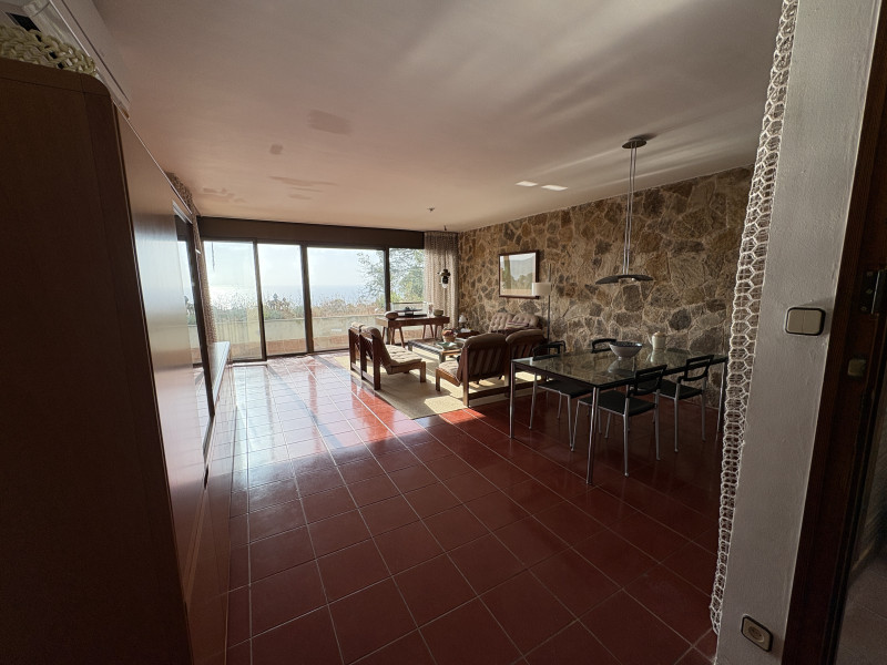 galería