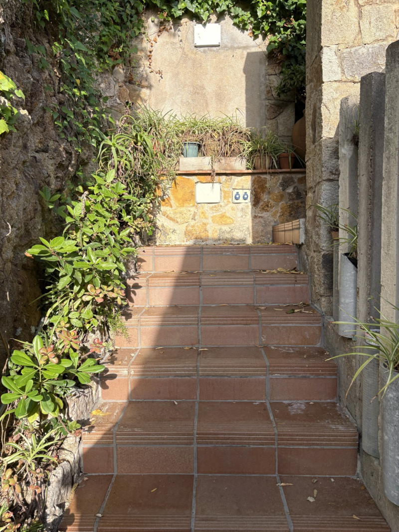 galería