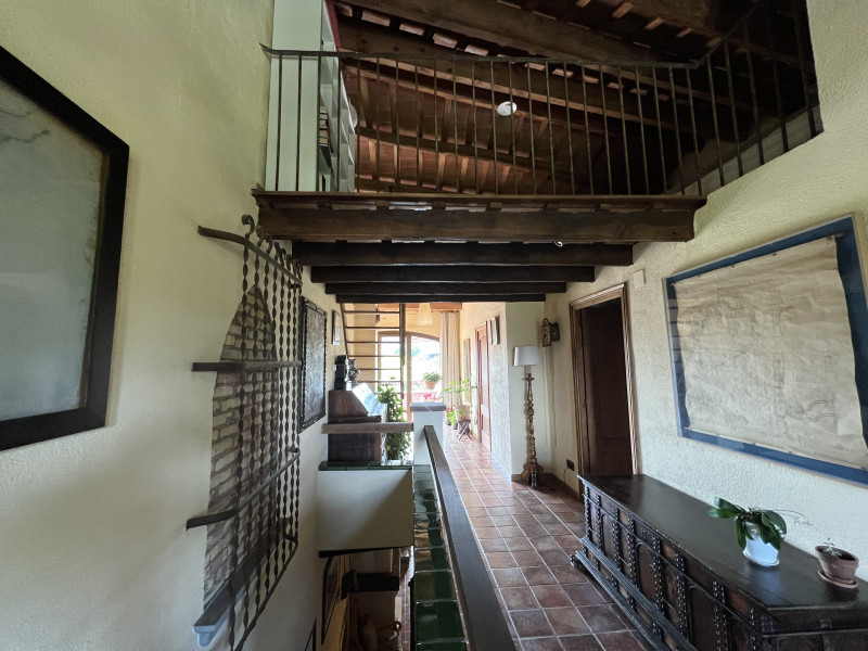 galería