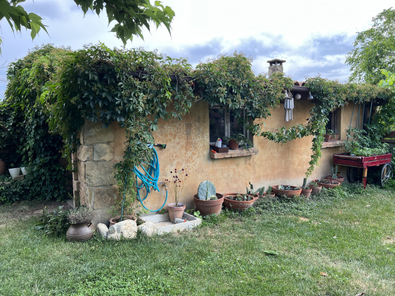 galería