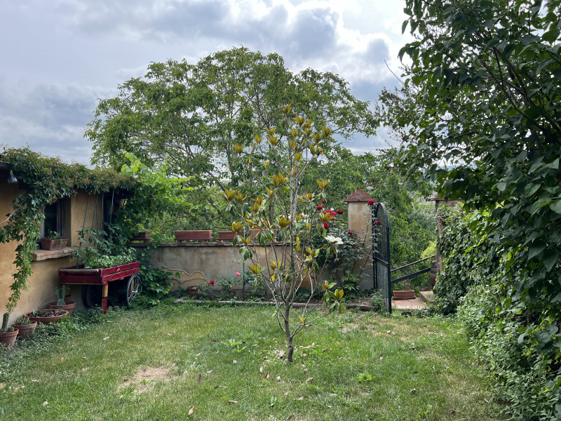 galería