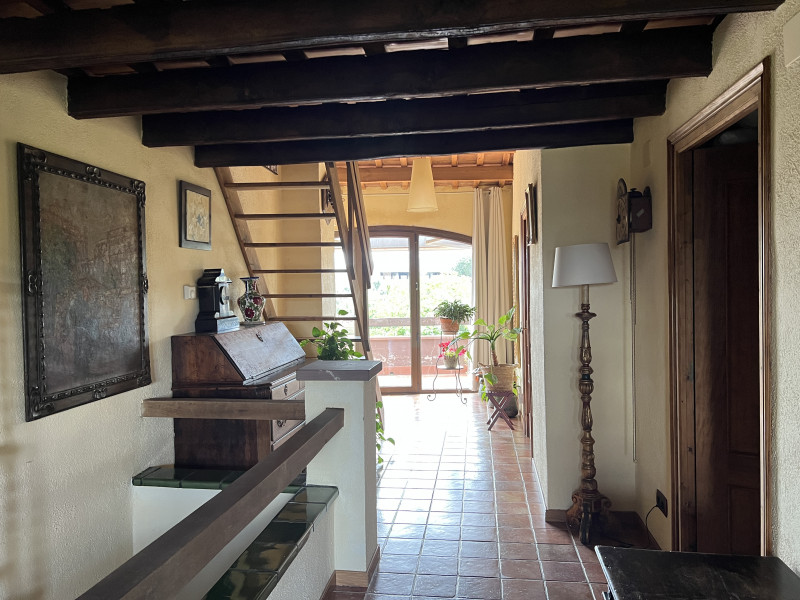 galería