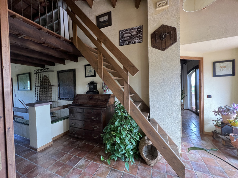 galería