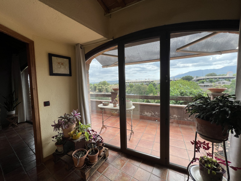galería