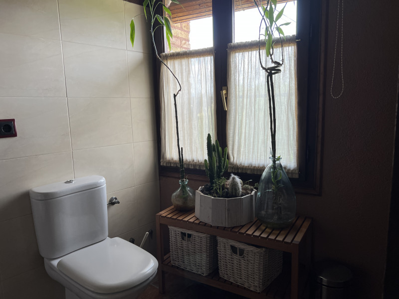 galería