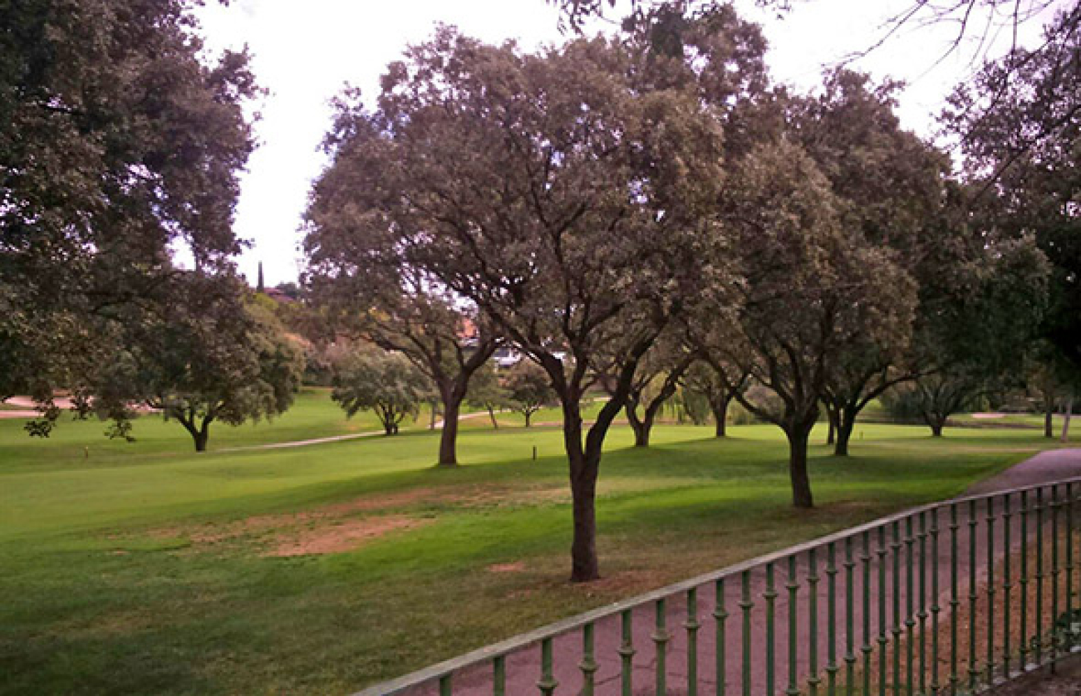 Chalet en La Moraleja