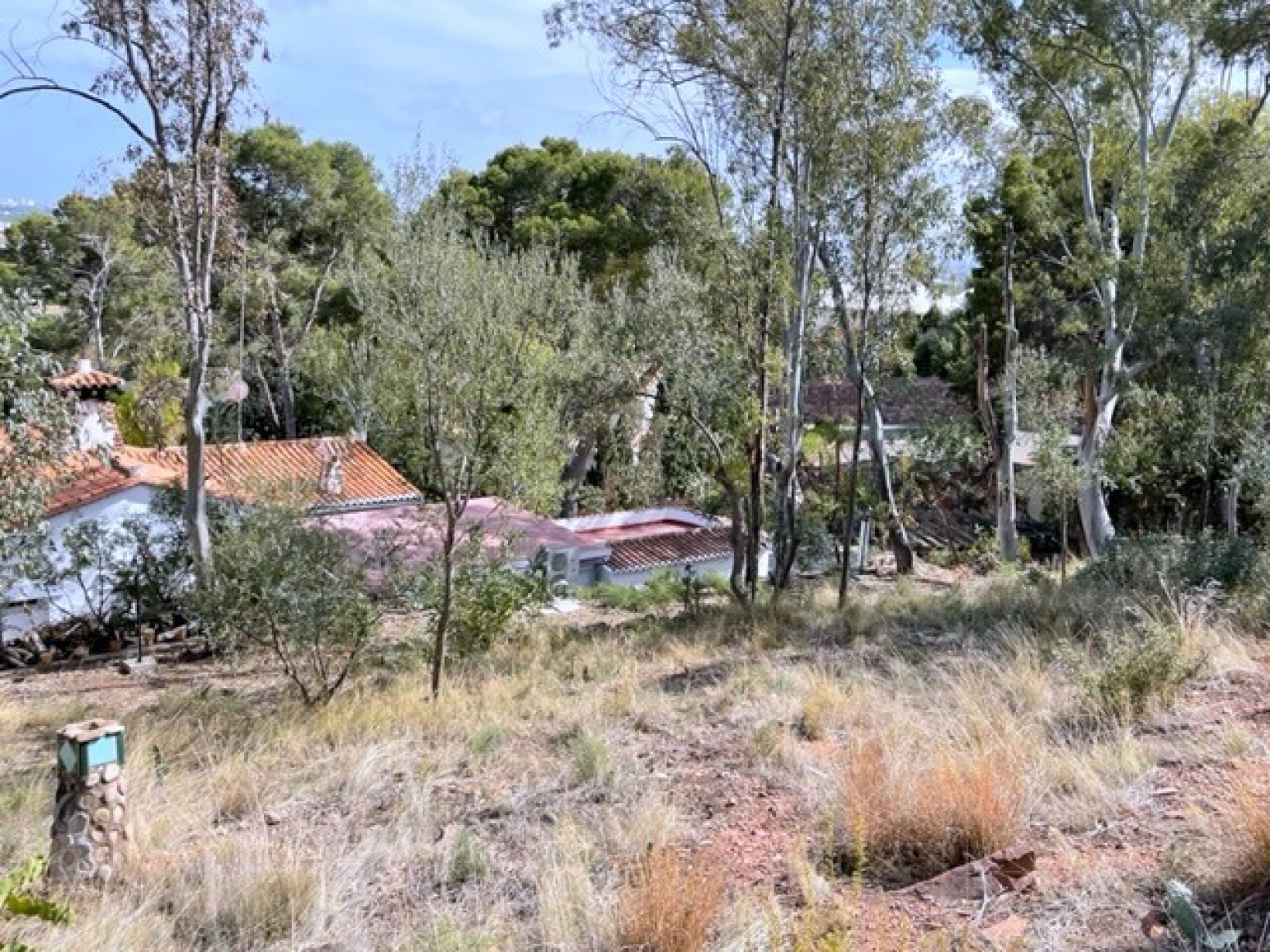 Fincas y solares-Venta-Sagunto-898847-Foto-6