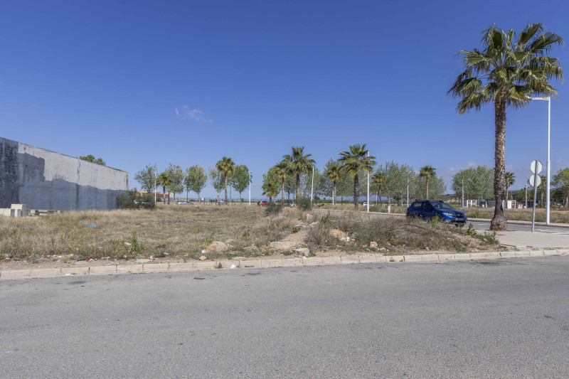 Fincas y solares-Venta-Albalat dels Sorells-1065458-Foto-13