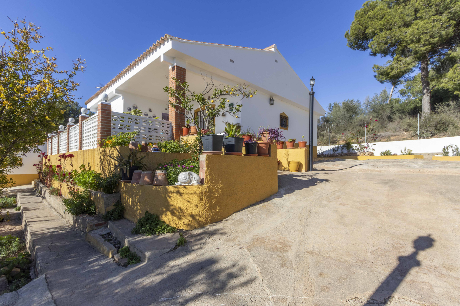 Casas o chalets-Venta-Albalat dels Tarongers-1502988-Foto-2