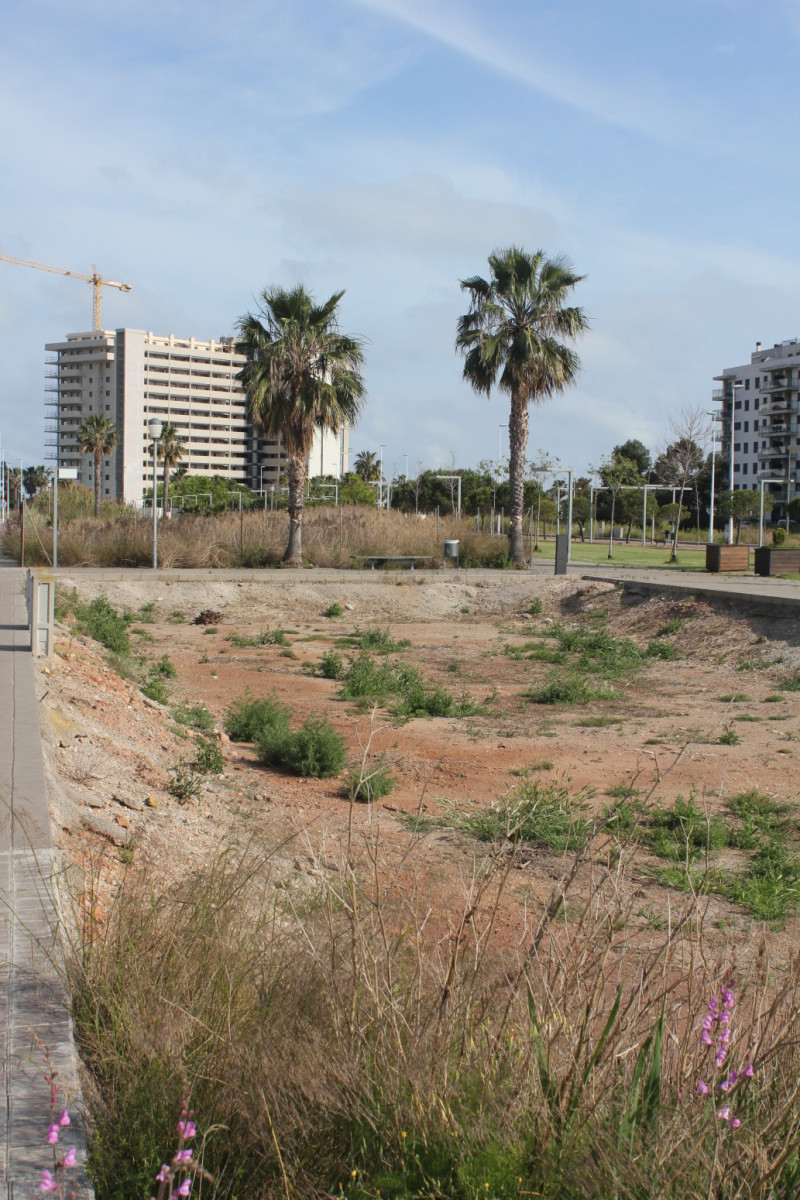 Fincas y solares-Venta-Moncofar-1718061-Foto-4