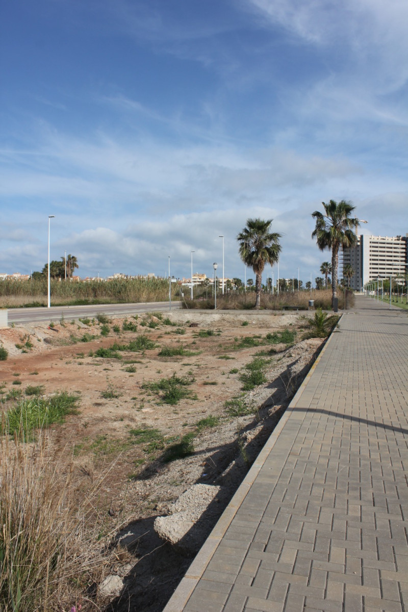 Fincas y solares-Venta-Moncofar-1718061-Foto-14