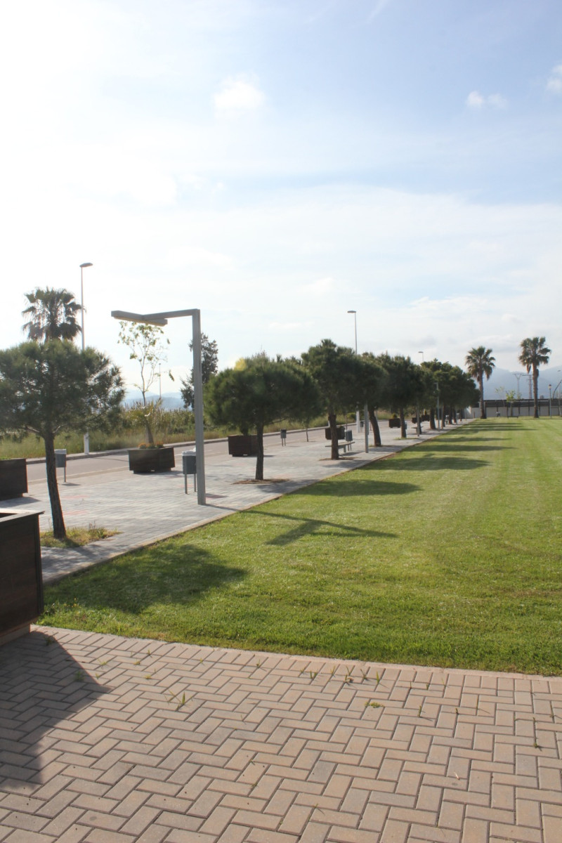 Fincas y solares-Venta-Moncofar-1718061-Foto-9
