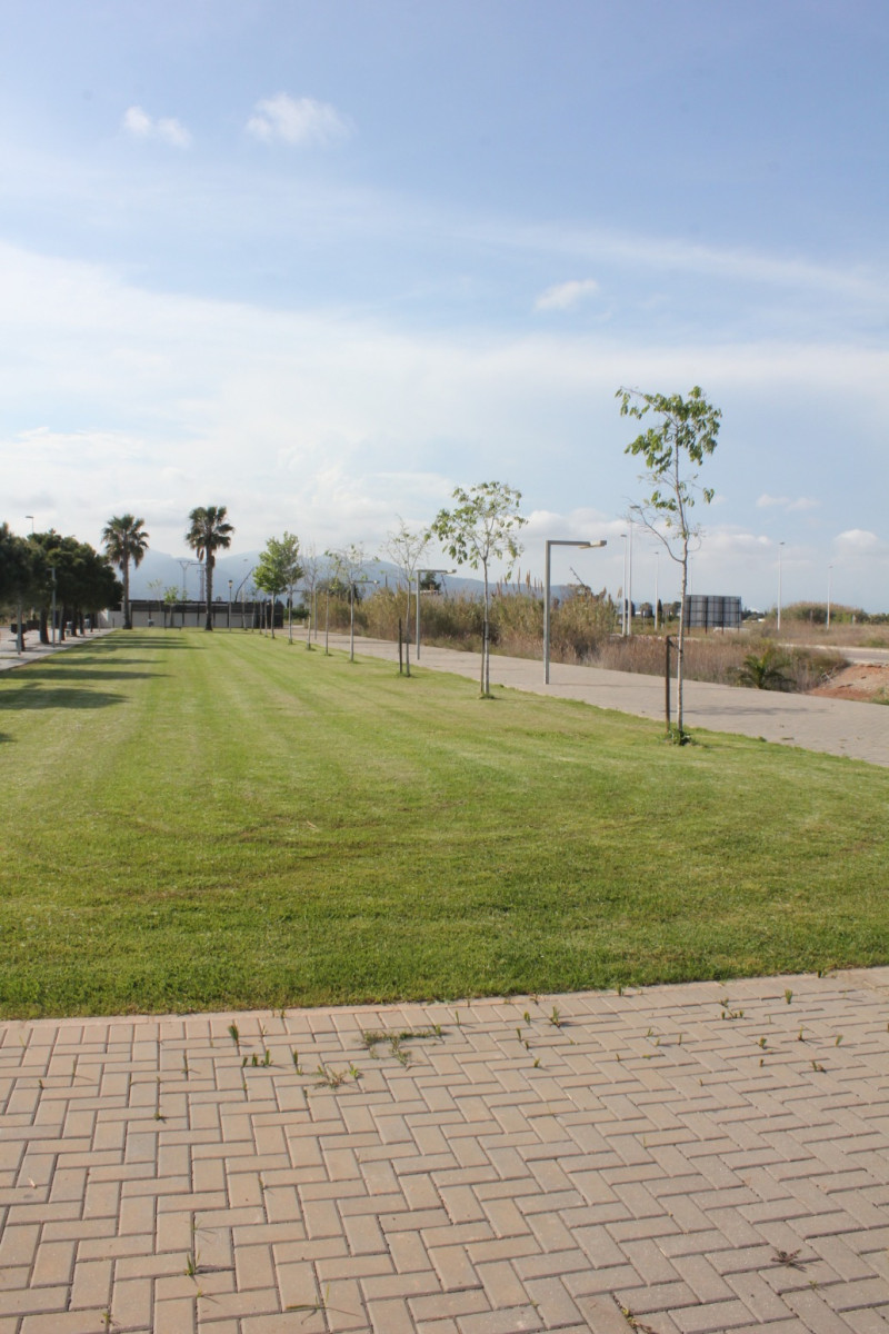 Fincas y solares-Venta-Moncofar-1718061-Foto-10