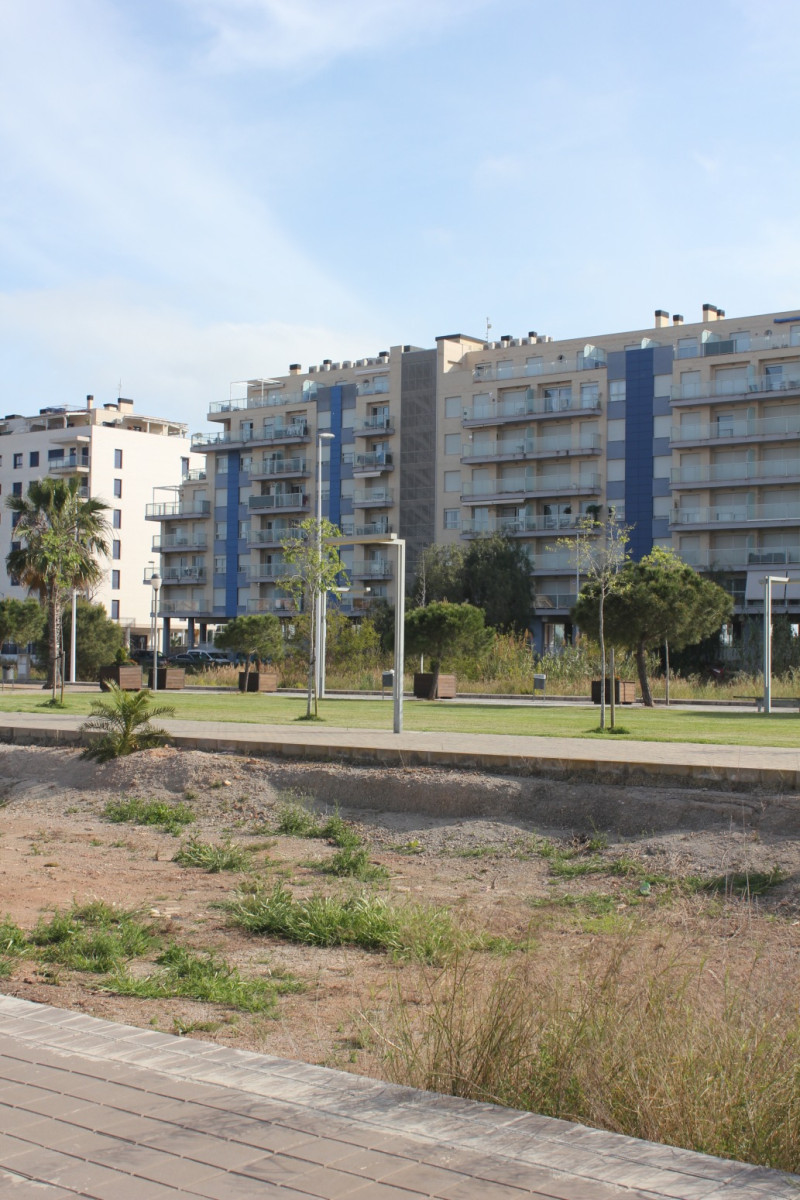 Fincas y solares-Venta-Moncofar-1718061-Foto-3