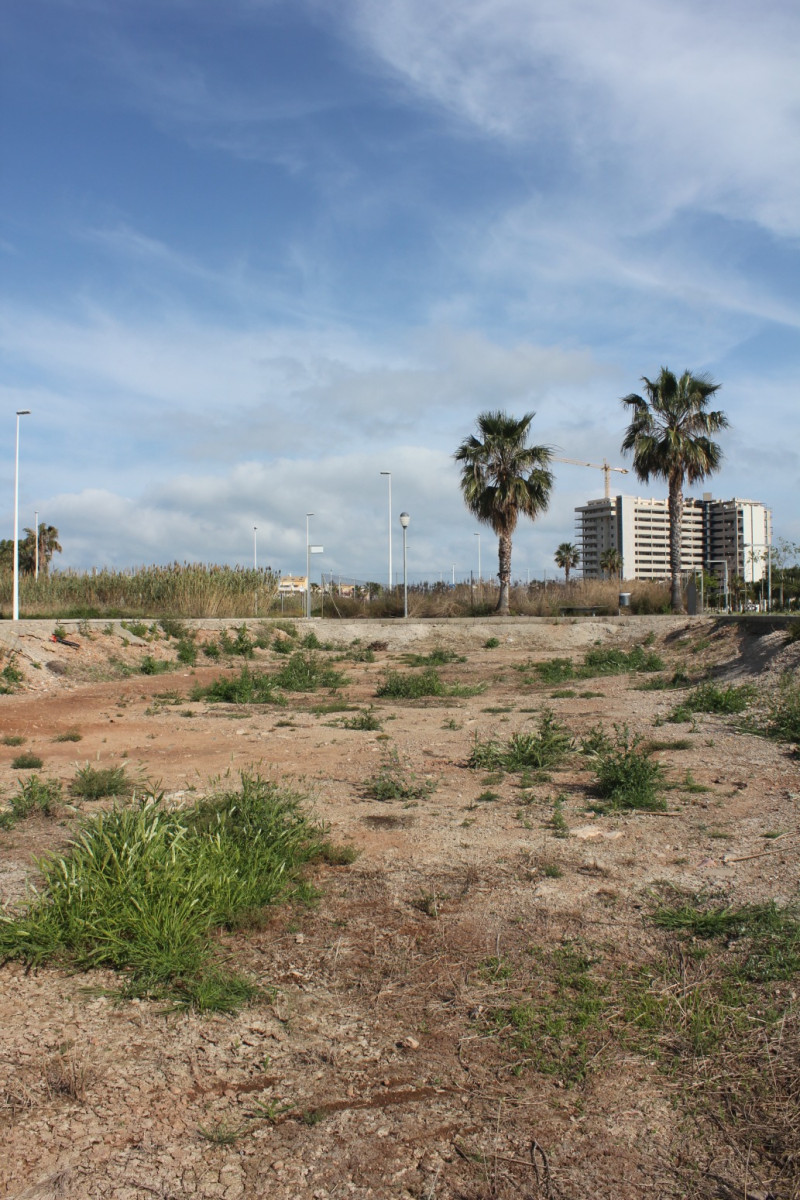 Fincas y solares-Venta-Moncofar-1718061-Foto-15