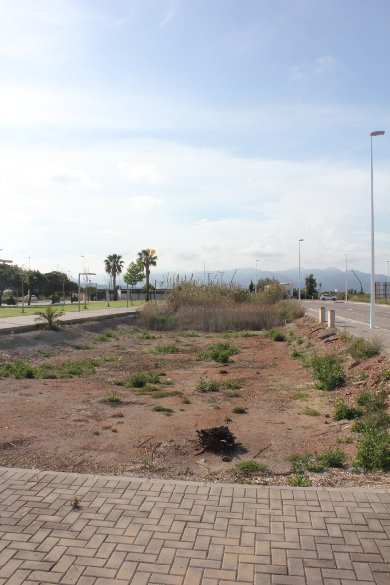 Fincas y solares-Venta-Moncofar-1718061-Foto-6