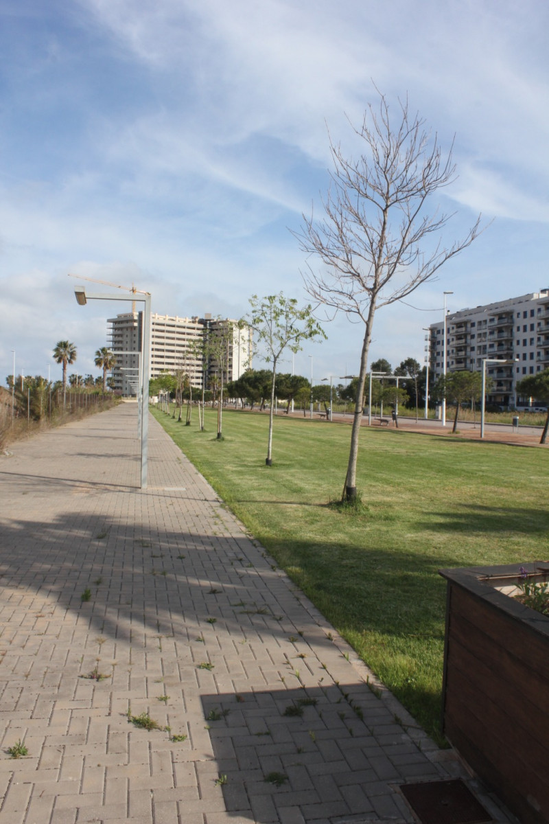 Fincas y solares-Venta-Moncofar-1718061-Foto-8