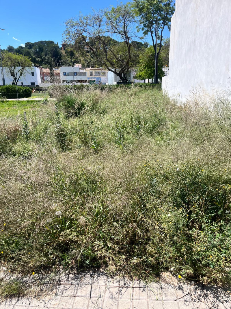 Fincas y solares-Venta-Puig-2207533-Foto-5