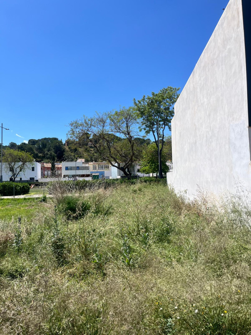 Fincas y solares-Venta-Puig-2207533-Foto-4