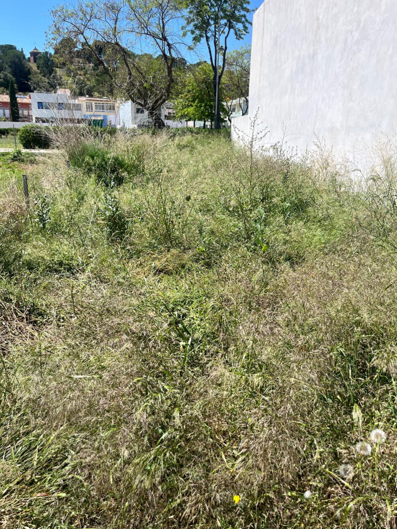 Fincas y solares-Venta-Puig-2207533-Foto-1
