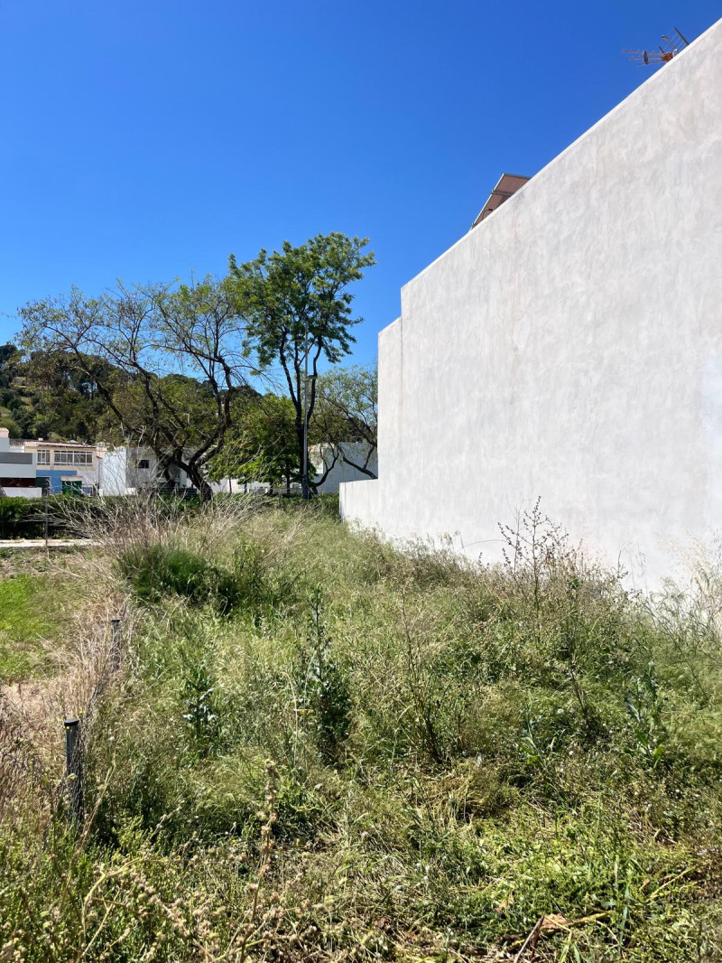 Fincas y solares-Venta-Puig-2207533-Foto-3