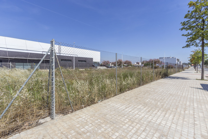 Fincas y solares-Venta-Sagunto-2284081-Foto-2