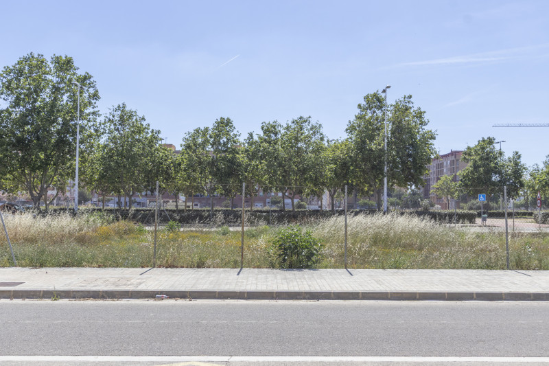 Fincas y solares-Venta-Sagunto-2284081-Foto-5